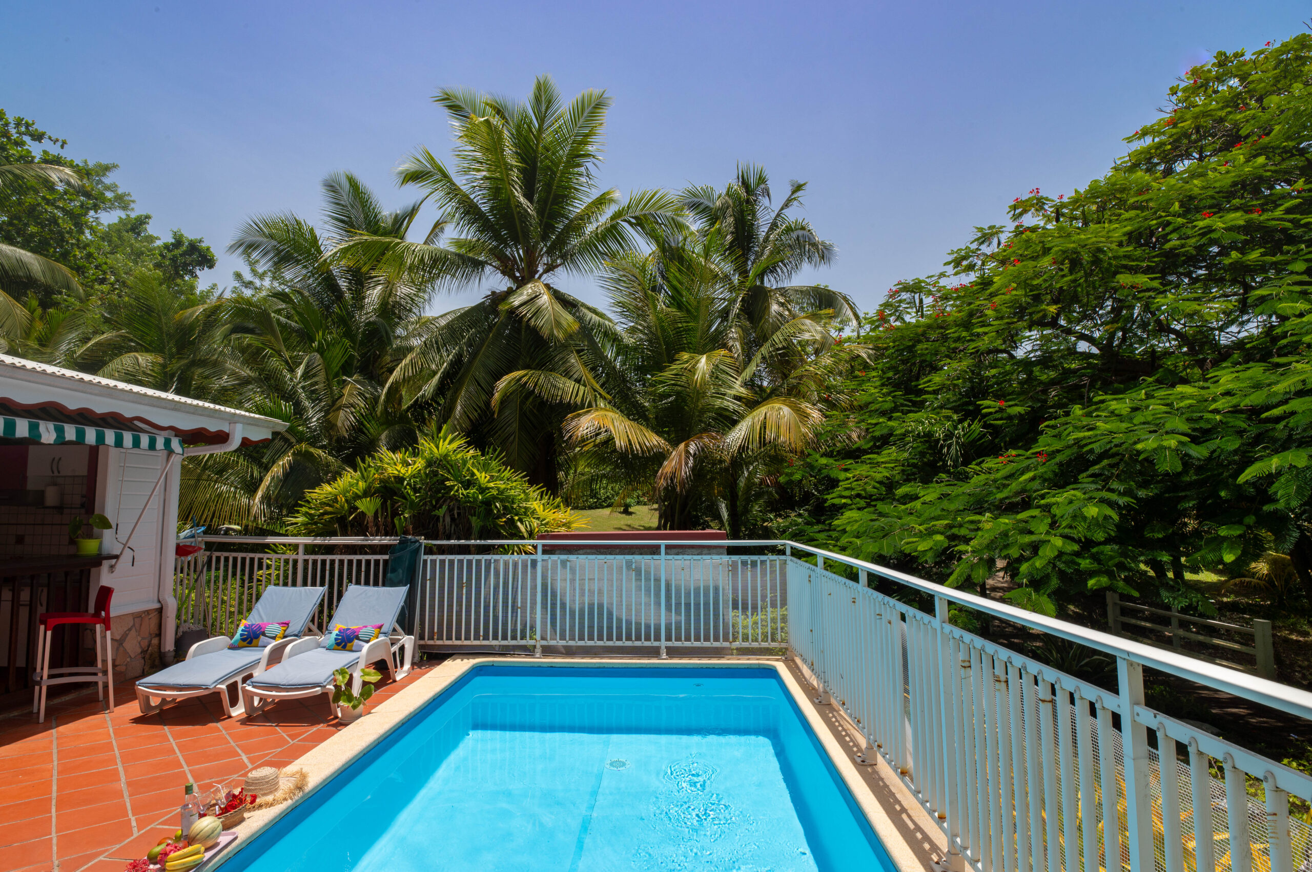 Piscine privée des Villas Frégate entourée de palmiers et de végétation tropicale
